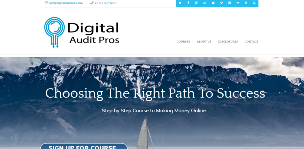 Digital Audit Pros Website