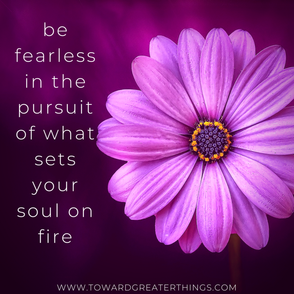 be fearless in the pursuit of what sets your soul on fire