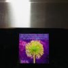 Chose Your Life - microwave