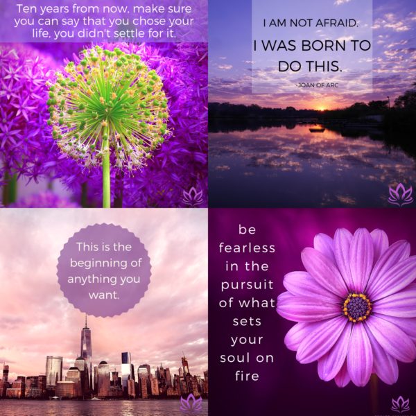 Go Get It! Whimsical Wisdom 4 Pack  Winter 2018 Collection