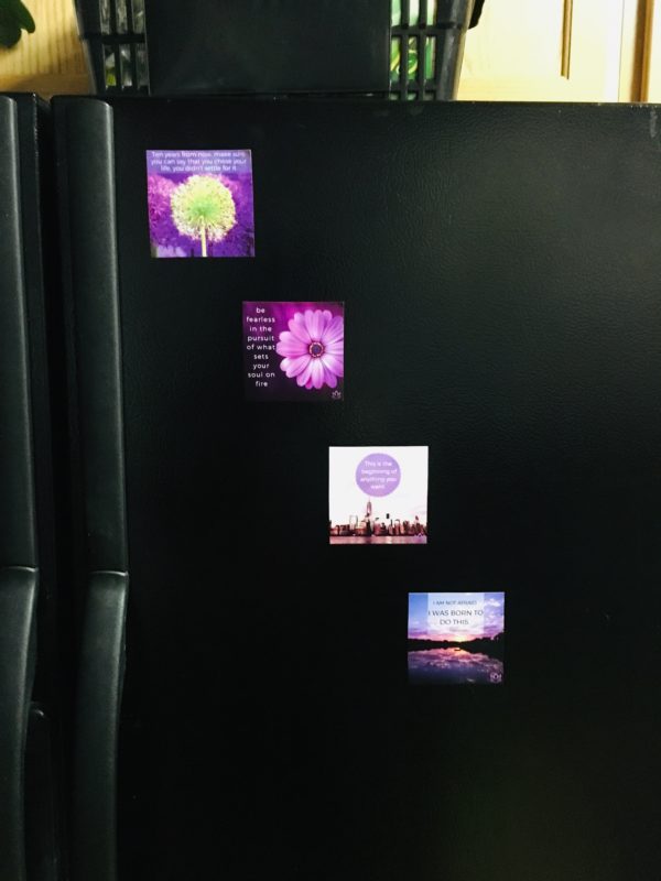 Go Get It Collection - fridge