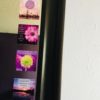 Go Get It Collection - mirror