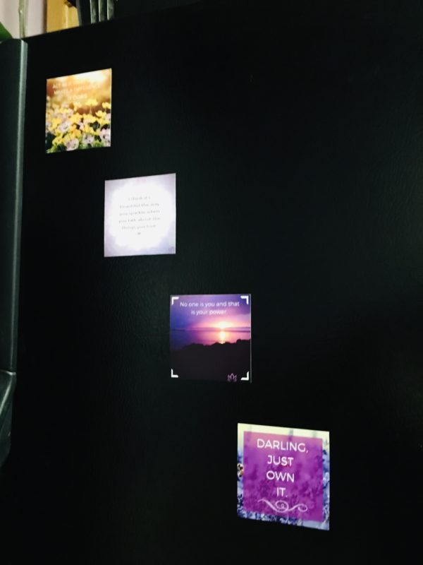 Self Love Collection - fridge