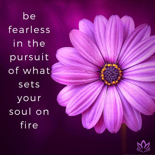 be fearless in the pursuit of what sets your soul on fire - Window Cline - Toward Greater Things