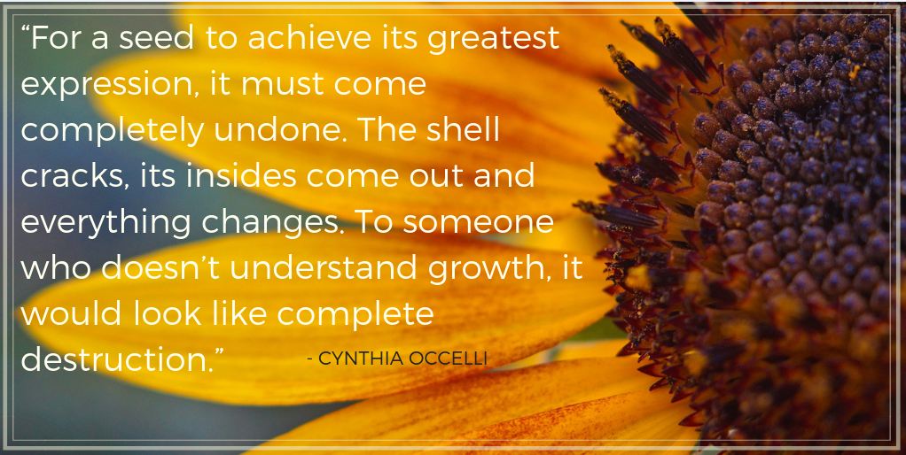 For a seed to achieve its greatest expression, it must come completely undone