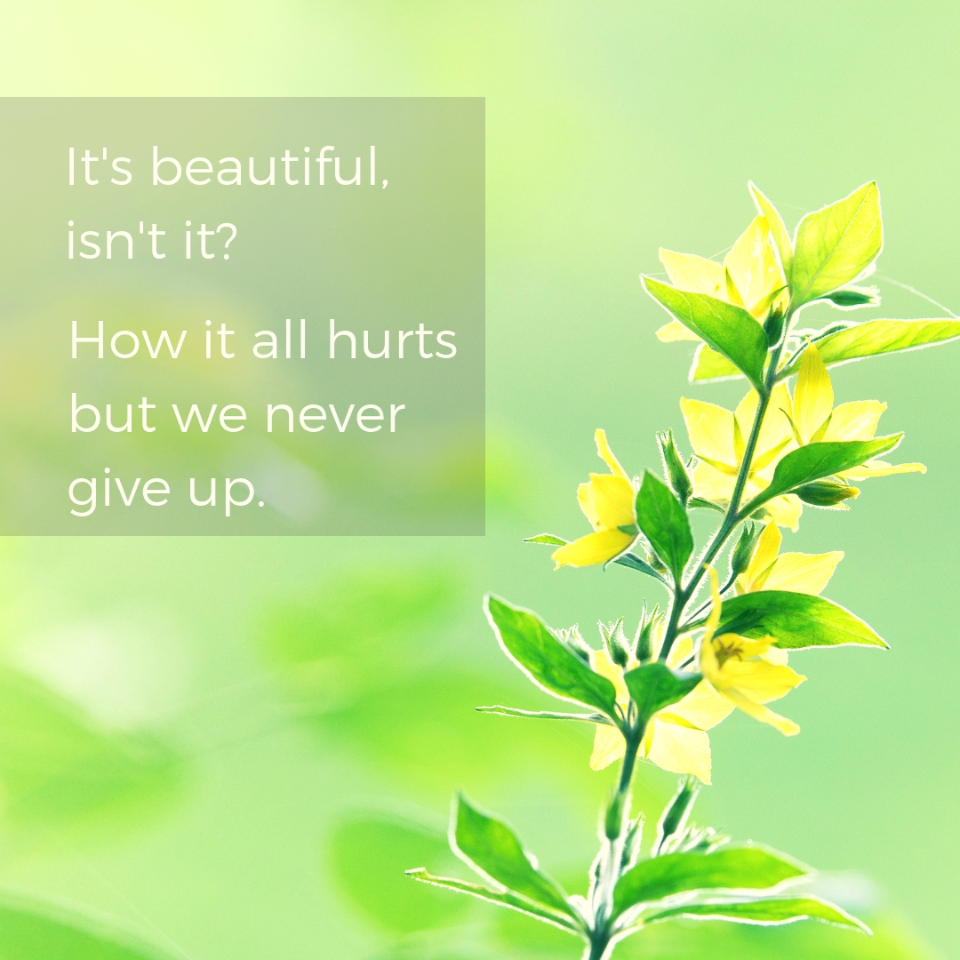 It's beautiful, isn't it? How it all hurts but we never give up